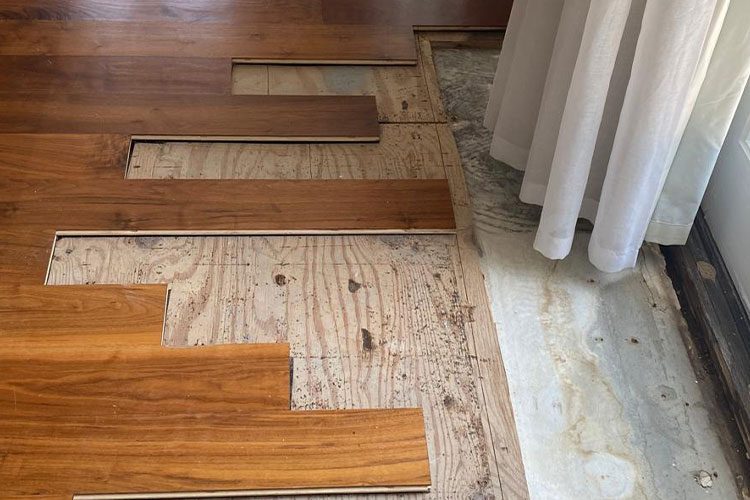 Hardwood Flooring Florida Humidity