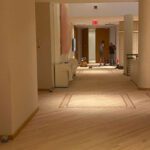 Best Hardwood Flooring for Dogs: Scratch-Resistant Options That Last
