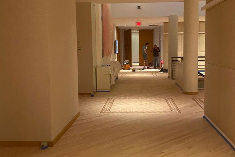 hardwood flooring for dogs